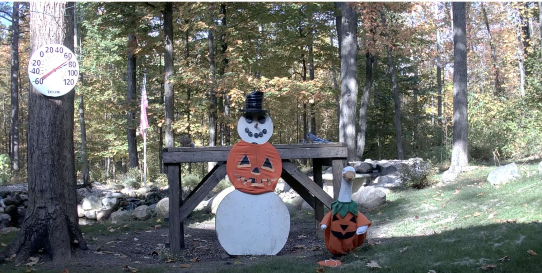 SnowmanCam Pumpkin Fall